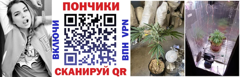 Канабис MAZAR  Оха 